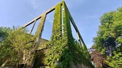 沉构学科成长的根基逻辑；深化协